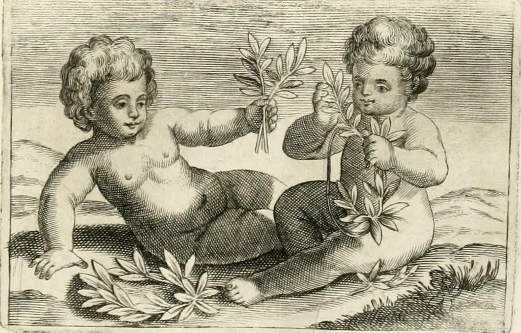 An illustration from Aedes Barberinae ad Quirinalem, 1642, leaf 56