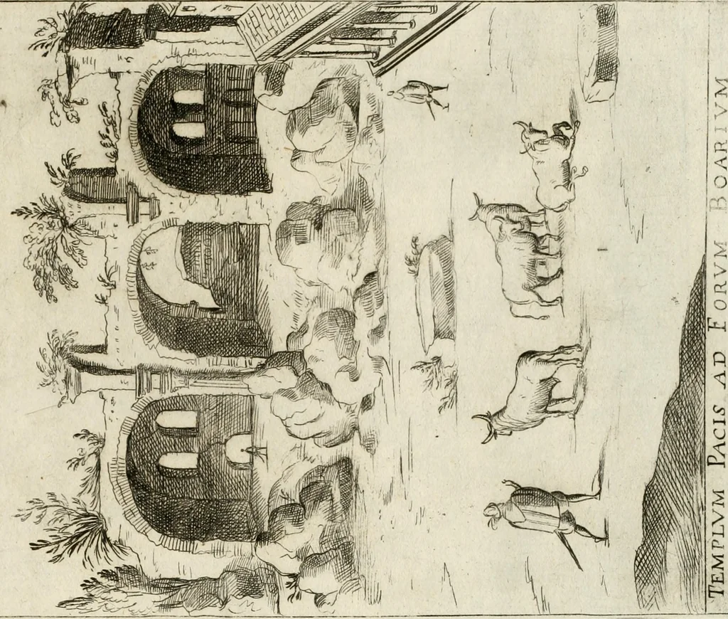 An illustration from Aedificiorum et ruinarum Romae ex antiquis atque hodiernis monimentis liber primus[-seco[n]dus], 1649, leaf 22