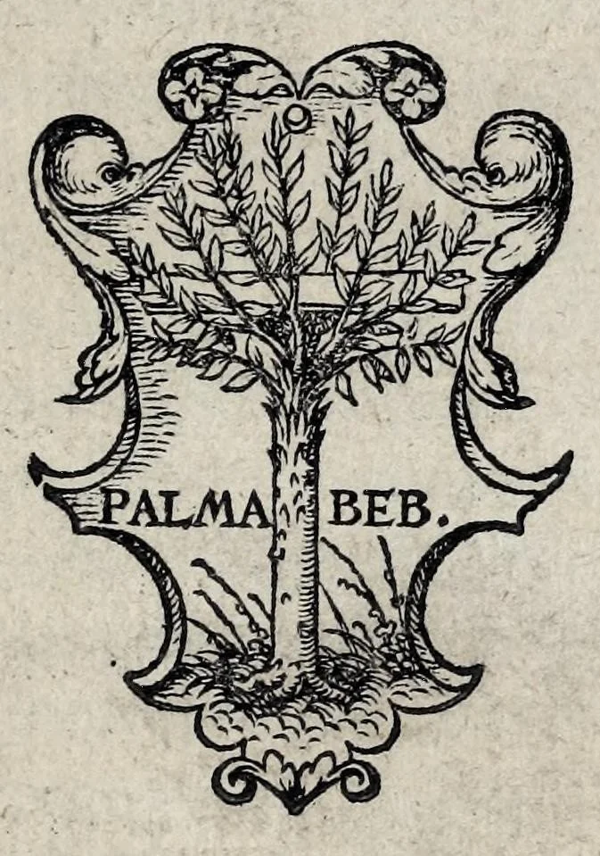 An illustration from Aegidii Tschvdi claronensis, viri apvd Helvetios clarissimi, De prisca ac uera Alpina Rhaetia : cum caetero Alpinarum gentium tractu, nobilis ac erudita ex optimis quibusq[ue] ac probatissimis autoribus descriptio, 1538, leaf 7