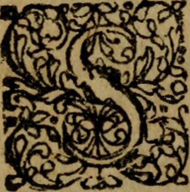 An illustration from Aemylii Ferretti jc. suae aetatis facile principis Libellus singularis de mora ; ut & ejusdem De interesse quo postremo continetur legis un. C. De sent. quae pro eo quod interest proferuntur interpretatio : uterque hinc inde sparsis annotationibus nec non remissionibus plurimum practicis novissimè adornatus, 1675, leaf 9