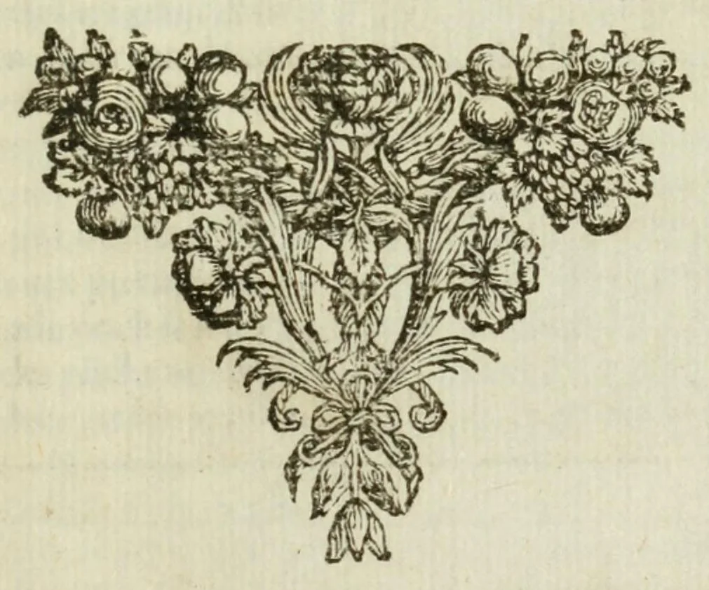 An illustration from Aenmerckingen over de Vereenighe Nederlandtsche Provintien, 1673, leaf 3