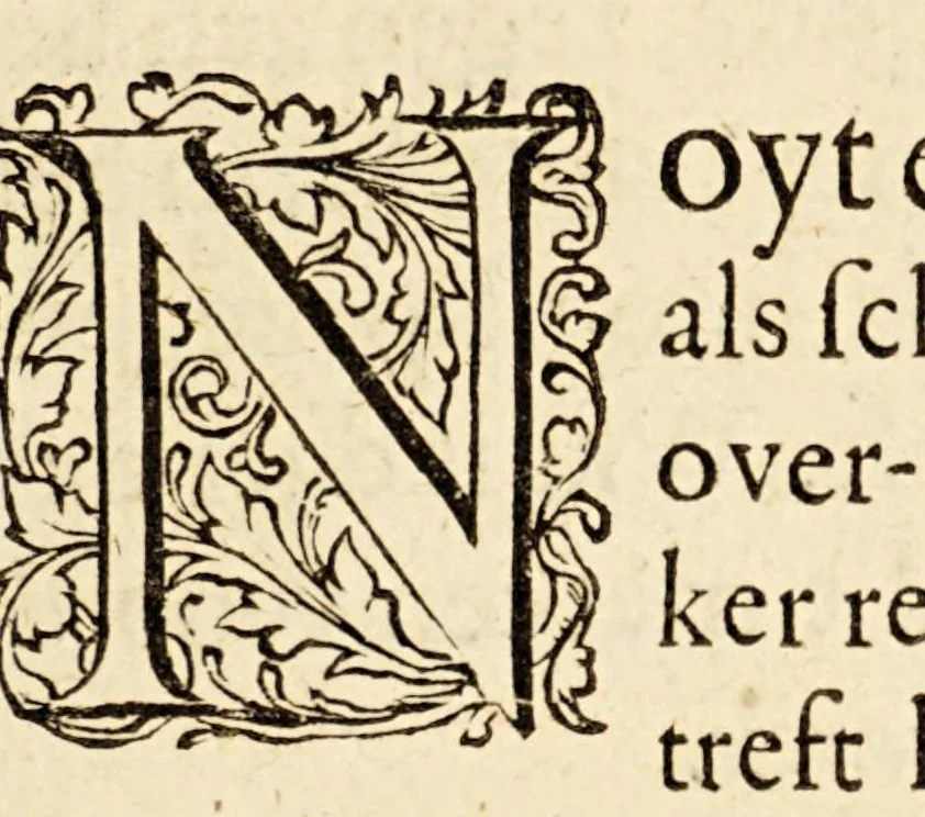 An illustration from Aen-spraeck aen den getrouwen Hollander, nopende de proceduren der Portugesen in Brasill, 1645, leaf 9