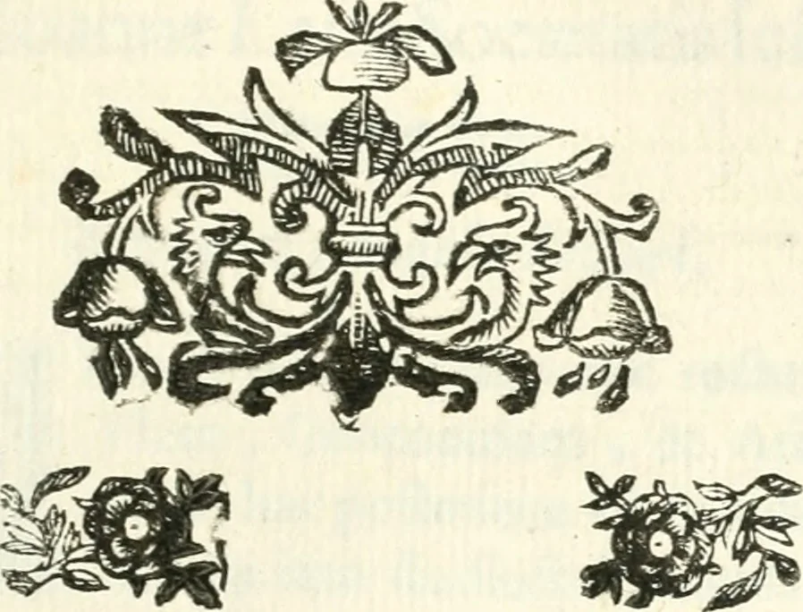 An illustration from Aerarium philosophiae mathematicae : in quo elementa philosophiae geometricae de planis, curuis, & solidis figuris applicata et ornata ... in tres tomos distributa sunt : intercessere ingeniosae inuentionis exodia horaria ..., 1648, leaf 102