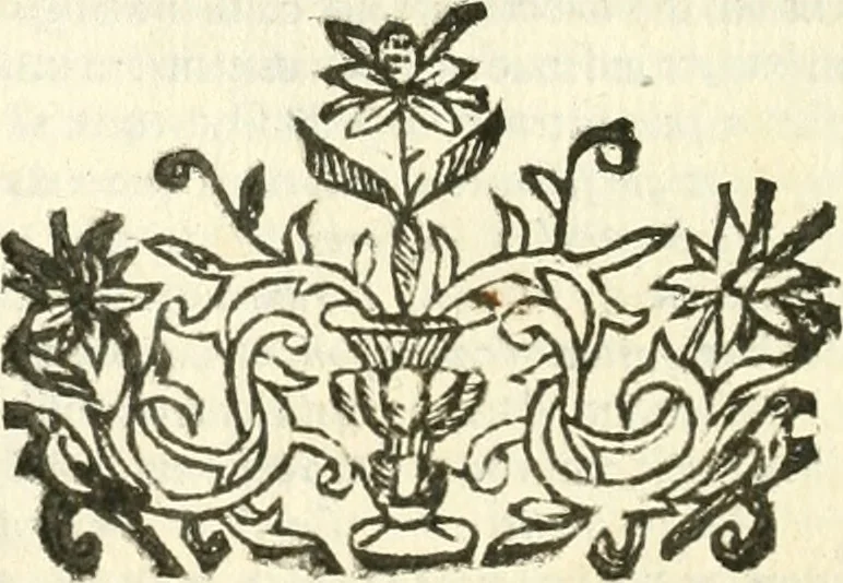 An illustration from Aerarium philosophiae mathematicae : in quo elementa philosophiae geometricae de planis, curuis, & solidis figuris applicata et ornata ... in tres tomos distributa sunt : intercessere ingeniosae inuentionis exodia horaria ..., 1648, leaf 189