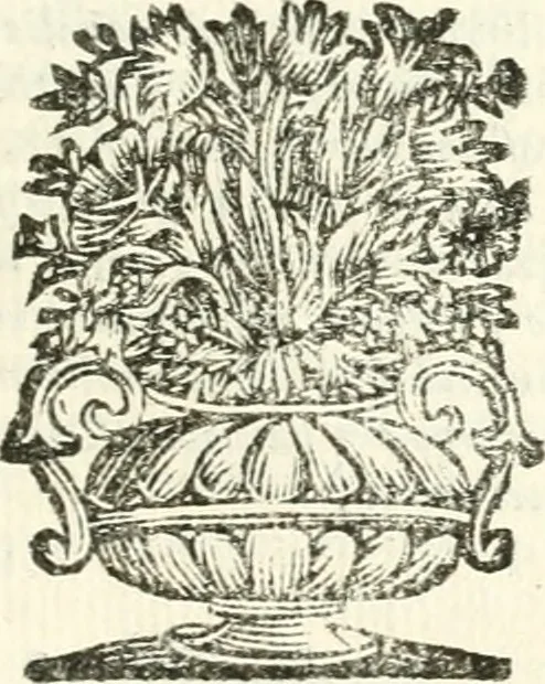 An illustration from Aerarium philosophiae mathematicae : in quo elementa philosophiae geometricae de planis, curuis, & solidis figuris applicata et ornata ... in tres tomos distributa sunt : intercessere ingeniosae inuentionis exodia horaria ..., 1648, leaf 230