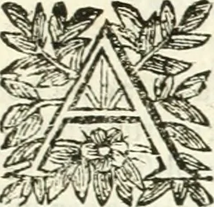 An illustration from Aerarium philosophiae mathematicae : in quo elementa philosophiae geometricae de planis, curuis, & solidis figuris applicata et ornata ... in tres tomos distributa sunt : intercessere ingeniosae inuentionis exodia horaria ..., 1648, leaf 24