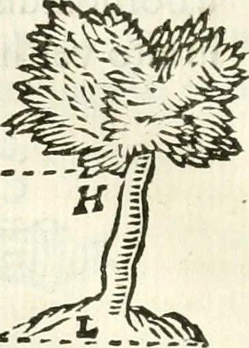 An illustration from Aerarium philosophiae mathematicae : in quo elementa philosophiae geometricae de planis, curuis, & solidis figuris applicata et ornata ... in tres tomos distributa sunt : intercessere ingeniosae inuentionis exodia horaria ..., 1648, leaf 513