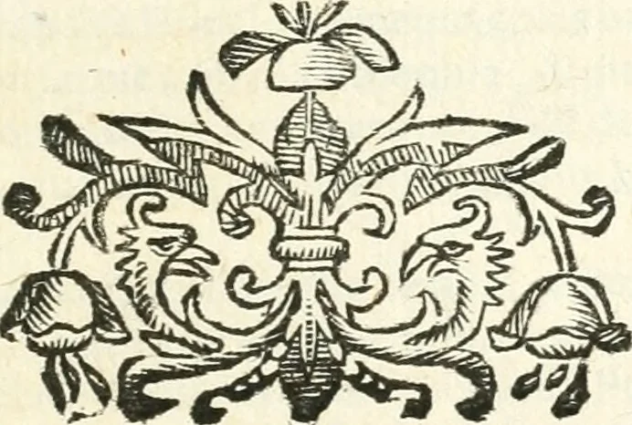 An illustration from Aerarium philosophiae mathematicae : in quo elementa philosophiae geometricae de planis, curuis, & solidis figuris applicata et ornata ... in tres tomos distributa sunt : intercessere ingeniosae inuentionis exodia horaria ..., 1648, leaf 62