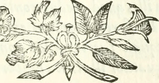 An illustration from Aerarium philosophiae mathematicae : in quo elementa philosophiae geometricae de planis, curuis, & solidis figuris applicata et ornata ... in tres tomos distributa sunt : intercessere ingeniosae inuentionis exodia horaria ..., 1648, leaf 246