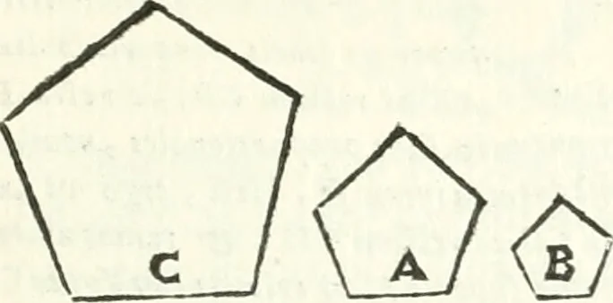 An illustration from Aerarium philosophiae mathematicae : in quo elementa philosophiae geometricae de planis, curuis, & solidis figuris applicata et ornata ... in tres tomos distributa sunt : intercessere ingeniosae inuentionis exodia horaria ..., 1648, leaf 334