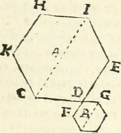 An illustration from Aerarium philosophiae mathematicae : in quo elementa philosophiae geometricae de planis, curuis, & solidis figuris applicata et ornata ... in tres tomos distributa sunt : intercessere ingeniosae inuentionis exodia horaria ..., 1648, leaf 348