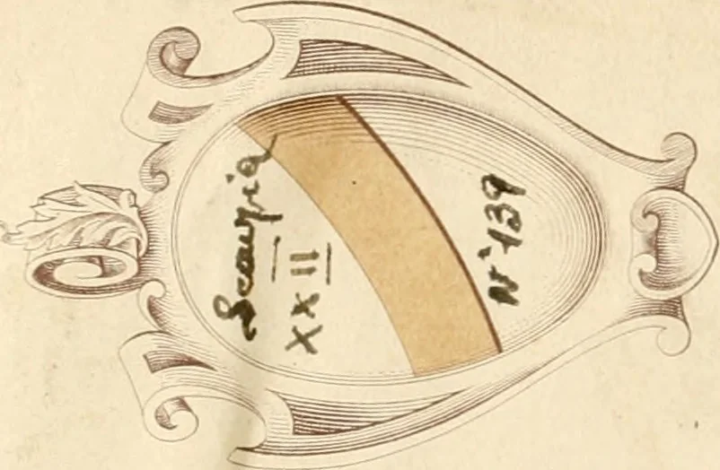 An illustration from Aerarium philosophiae mathematicae : in quo elementa philosophiae geometricae de planis, curuis, & solidis figuris applicata et ornata ... in tres tomos distributa sunt : intercessere ingeniosae inuentionis exodia horaria ..., 1648, leaf 1
