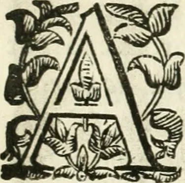 An illustration from Aerarium philosophiae mathematicae : in quo elementa philosophiae geometricae de planis, curuis, & solidis figuris applicata et ornata ... in tres tomos distributa sunt : intercessere ingeniosae inuentionis exodia horaria ..., 1648, leaf 12
