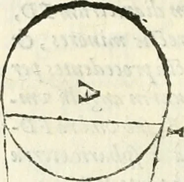 An illustration from Aerarium philosophiae mathematicae : in quo elementa philosophiae geometricae de planis, curuis, & solidis figuris applicata et ornata ... in tres tomos distributa sunt : intercessere ingeniosae inuentionis exodia horaria ..., 1648, leaf 223