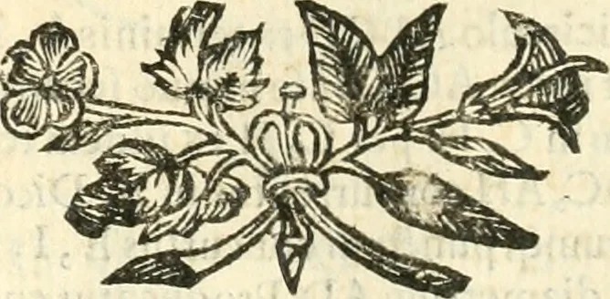 An illustration from Aerarium philosophiae mathematicae : in quo elementa philosophiae geometricae de planis, curuis, & solidis figuris applicata et ornata ... in tres tomos distributa sunt : intercessere ingeniosae inuentionis exodia horaria ..., 1648, leaf 249
