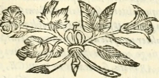An illustration from Aerarium philosophiae mathematicae : in quo elementa philosophiae geometricae de planis, curuis, & solidis figuris applicata et ornata ... in tres tomos distributa sunt : intercessere ingeniosae inuentionis exodia horaria ..., 1648, leaf 384