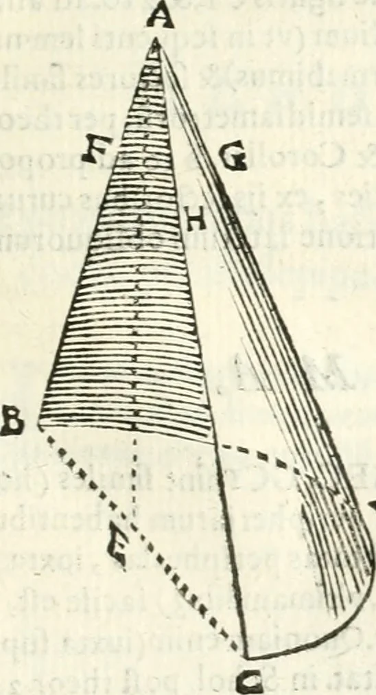 An illustration from Aerarium philosophiae mathematicae : in quo elementa philosophiae geometricae de planis, curuis, & solidis figuris applicata et ornata ... in tres tomos distributa sunt : intercessere ingeniosae inuentionis exodia horaria ..., 1648, leaf 512