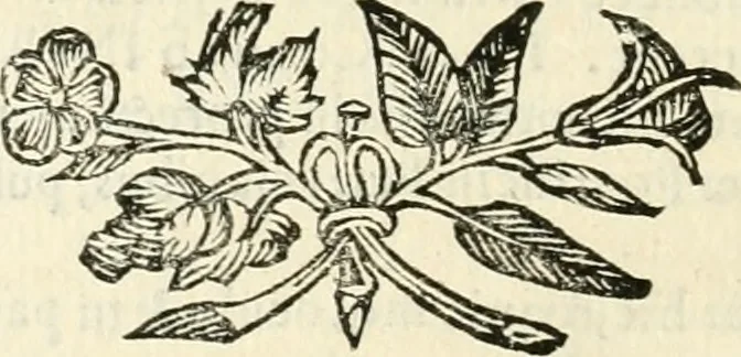 An illustration from Aerarium philosophiae mathematicae : in quo elementa philosophiae geometricae de planis, curuis, & solidis figuris applicata et ornata ... in tres tomos distributa sunt : intercessere ingeniosae inuentionis exodia horaria ..., 1648, leaf 627