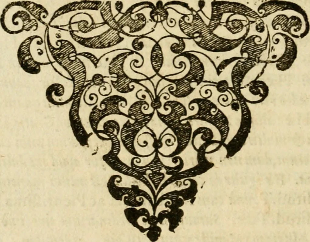 An illustration from Aereoplastes theo-sophicus, sive, Eicones mysticae : rarâ solertiâ, ac sagacitate singulari effictae, eaqu[ue] aere incisae ..., 1620, leaf 15