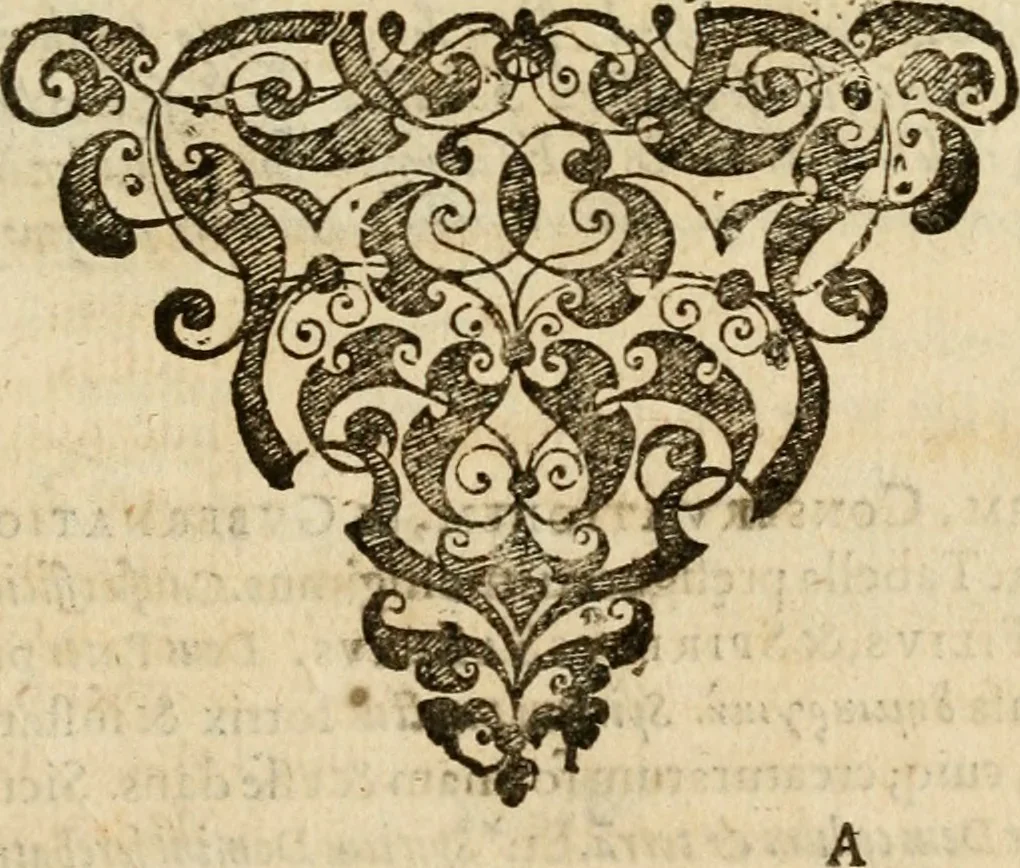 An illustration from Aereoplastes theo-sophicus, sive, Eicones mysticae : rarâ solertiâ, ac sagacitate singulari effictae, eaqu[ue] aere incisae ..., 1620, leaf 20