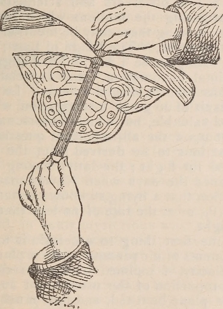An illustration from Aerial navigation, 1891, leaf 30