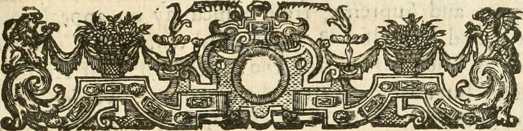 An illustration from Aerius redivivus : or, the history of the Presbyterians. Containing the beginnings, progresse, and successes of that active sect. Their oppositions to monarchical and episcopal government. Their innovations in the church;: and, their imbroilments of the kingdoms and estates of Christendom in the pursuit of their designs. From the year 1536 to the year 1647, 1672, leaf 10