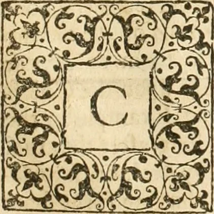 An illustration from Aerius redivivus : or, the history of the Presbyterians. Containing the beginnings, progresse, and successes of that active sect. Their oppositions to monarchical and episcopal government. Their innovations in the church;: and, their imbroilments of the kingdoms and estates of Christendom in the pursuit of their designs. From the year 1536 to the year 1647, 1672, leaf 138
