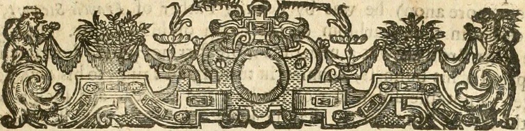 An illustration from Aerius redivivus : or, the history of the Presbyterians. Containing the beginnings, progresse, and successes of that active sect. Their oppositions to monarchical and episcopal government. Their innovations in the church;: and, their imbroilments of the kingdoms and estates of Christendom in the pursuit of their designs. From the year 1536 to the year 1647, 1672, leaf 178