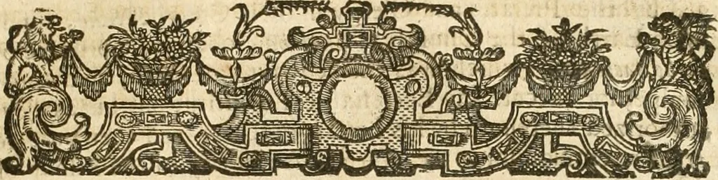 An illustration from Aerius redivivus : or, the history of the Presbyterians. Containing the beginnings, progresse, and successes of that active sect. Their oppositions to monarchical and episcopal government. Their innovations in the church;: and, their imbroilments of the kingdoms and estates of Christendom in the pursuit of their designs. From the year 1536 to the year 1647, 1672, leaf 220