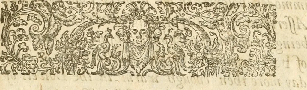 An illustration from Aerius redivivus : or, the history of the Presbyterians. Containing the beginnings, progresse, and successes of that active sect. Their oppositions to monarchical and episcopal government. Their innovations in the church;: and, their imbroilments of the kingdoms and estates of Christendom in the pursuit of their designs. From the year 1536 to the year 1647, 1672, leaf 8
