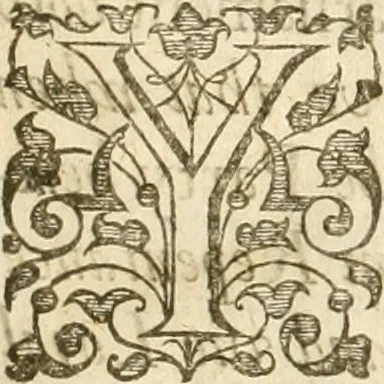 An illustration from Aerius redivivus : or, the history of the Presbyterians. Containing the beginnings, progresse, and successes of that active sect. Their oppositions to monarchical and episcopal government. Their innovations in the church;: and, their imbroilments of the kingdoms and estates of Christendom in the pursuit of their designs. From the year 1536 to the year 1647, 1672, leaf 8