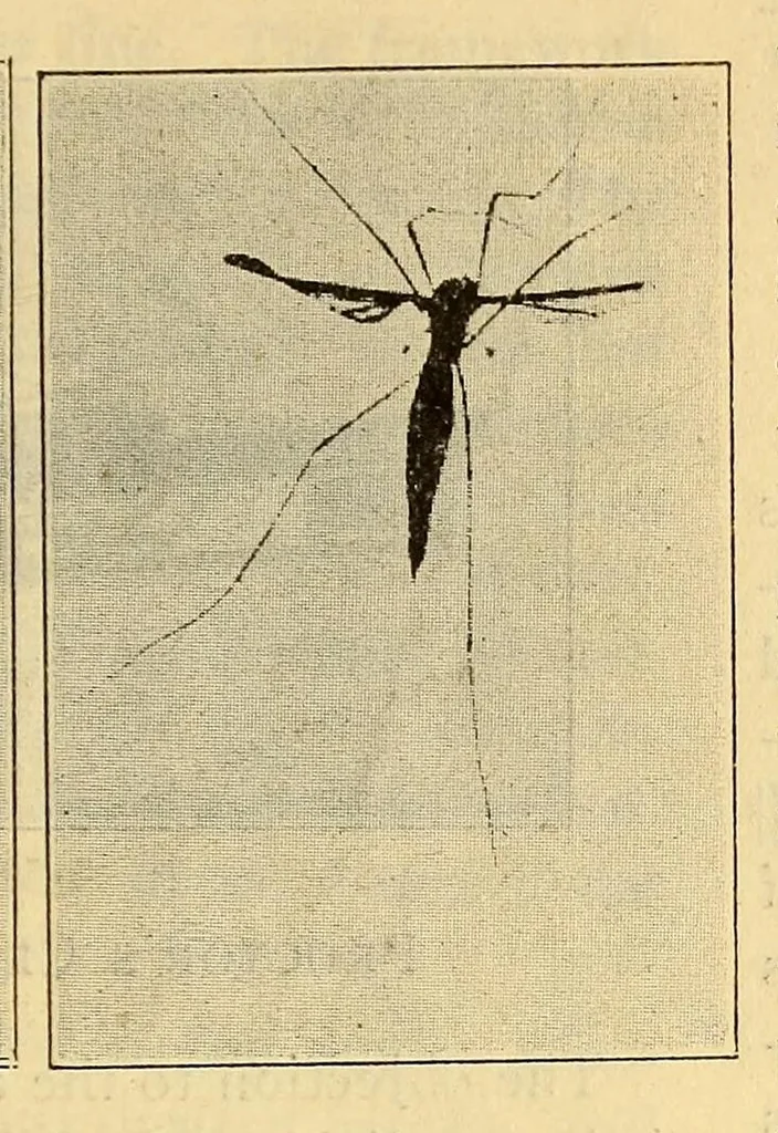 An illustration from Aeronautical world, 1902, leaf 181