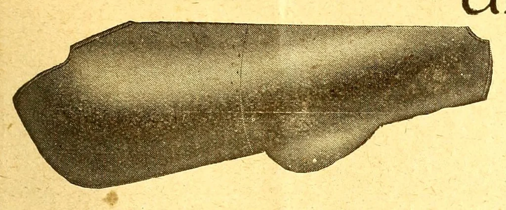 An illustration from The Aeroplane, 1911, leaf 493