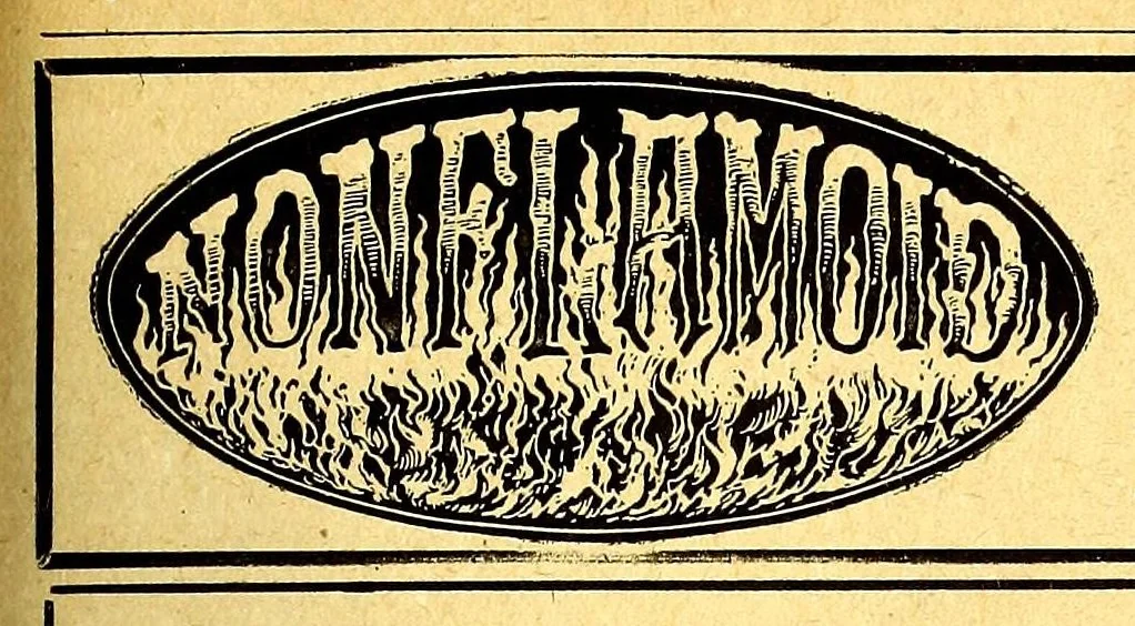 An illustration from The Aeroplane, 1911, leaf 137