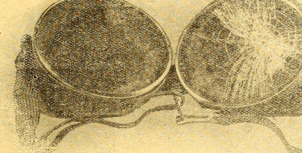 An illustration from The Aeroplane, 1911, leaf 291