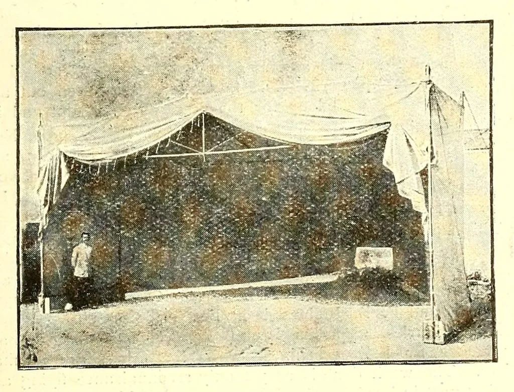 An illustration from The Aeroplane, 1911, leaf 481
