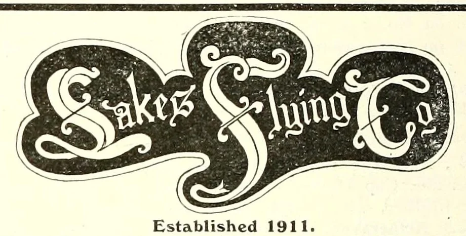 An illustration from The Aeroplane, 1911, leaf 312