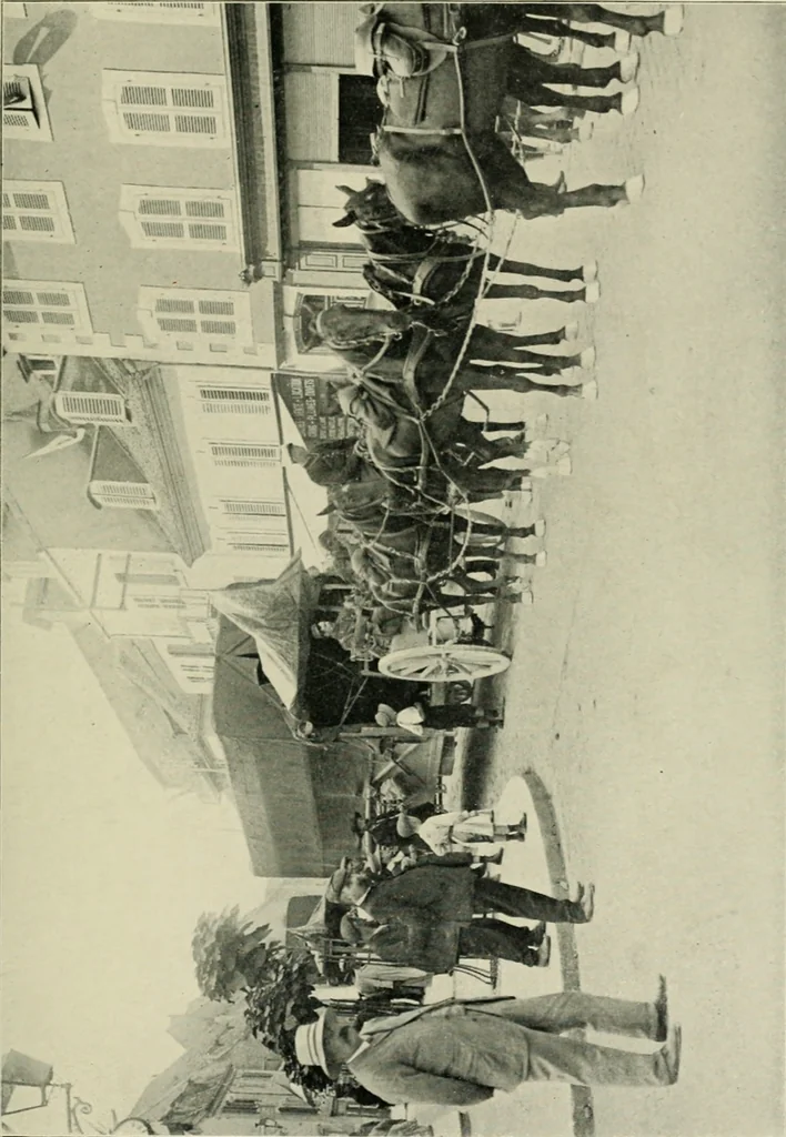 An illustration from The aeroplane in war, 1912, leaf 254
