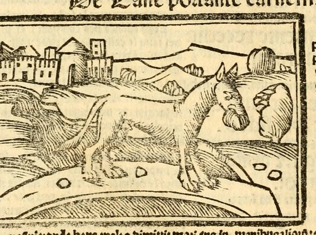 An illustration from Aesopi fabvlae cvm vvlgari interpretatione : et figuris nouissime omni cura, & diligentia emendatae, 1557, leaf 24