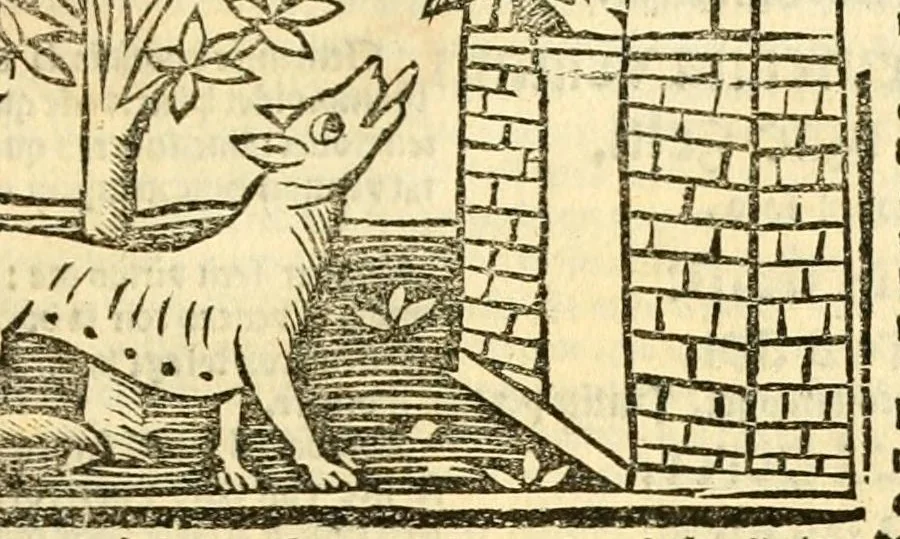 An illustration from Aesopi fabvlae cvm vvlgari interpretatione : et figuris nouissime omni cura, & diligentia emendatae, 1557, leaf 27