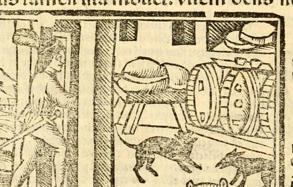 An illustration from Aesopi fabvlae cvm vvlgari interpretatione : et figuris nouissime omni cura, & diligentia emendatae, 1557, leaf 28