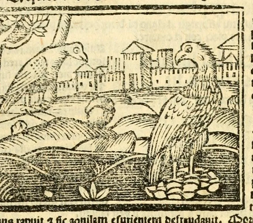 An illustration from Aesopi fabvlae cvm vvlgari interpretatione : et figuris nouissime omni cura, & diligentia emendatae, 1557, leaf 31