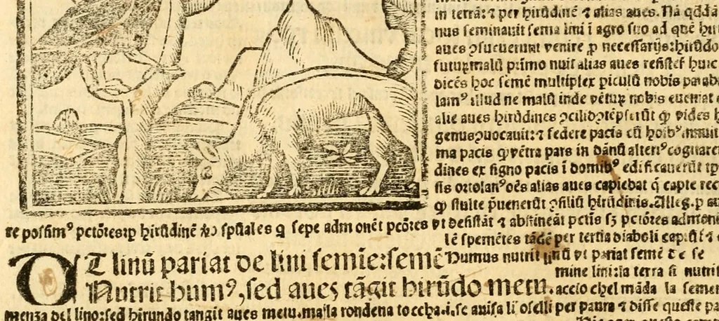 An illustration from Aesopi fabvlae cvm vvlgari interpretatione : et figuris nouissime omni cura, & diligentia emendatae, 1557, leaf 36
