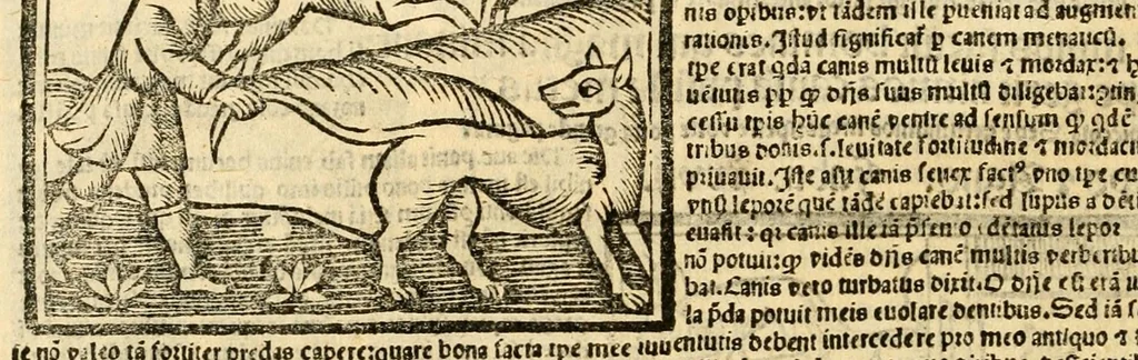 An illustration from Aesopi fabvlae cvm vvlgari interpretatione : et figuris nouissime omni cura, & diligentia emendatae, 1557, leaf 42