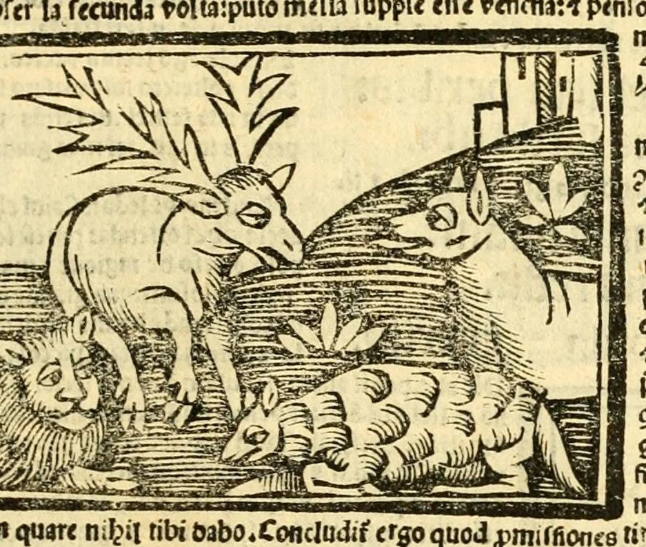 An illustration from Aesopi fabvlae cvm vvlgari interpretatione : et figuris nouissime omni cura, & diligentia emendatae, 1557, leaf 45