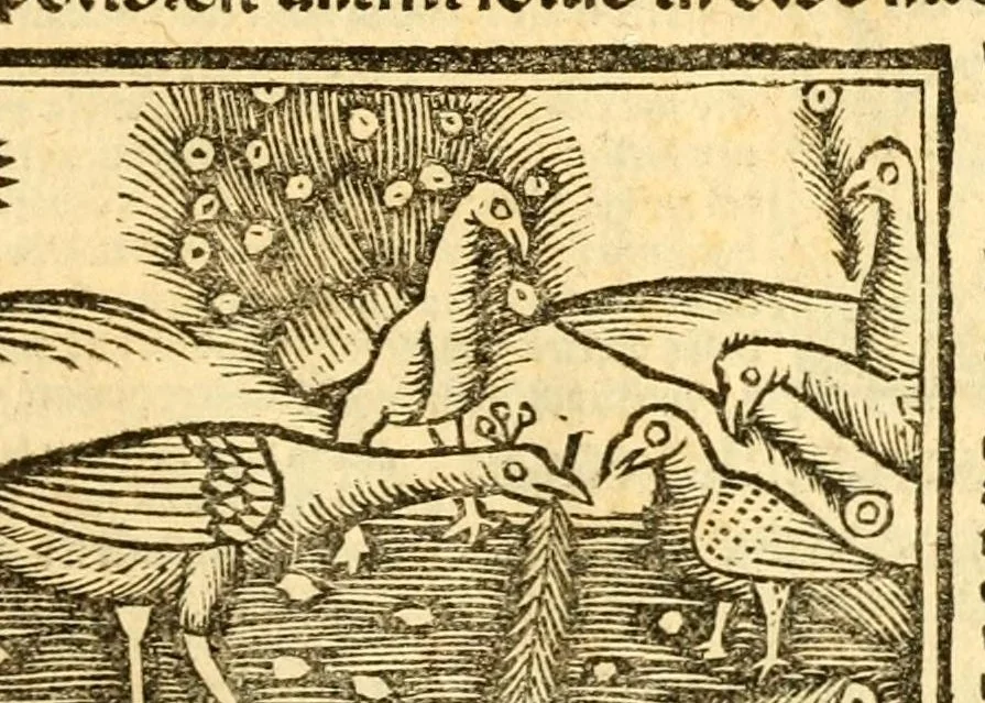 An illustration from Aesopi fabvlae cvm vvlgari interpretatione : et figuris nouissime omni cura, & diligentia emendatae, 1557, leaf 47