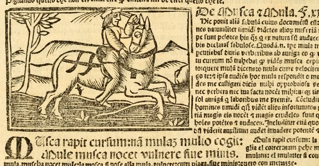 An illustration from Aesopi fabvlae cvm vvlgari interpretatione : et figuris nouissime omni cura, & diligentia emendatae, 1557, leaf 48