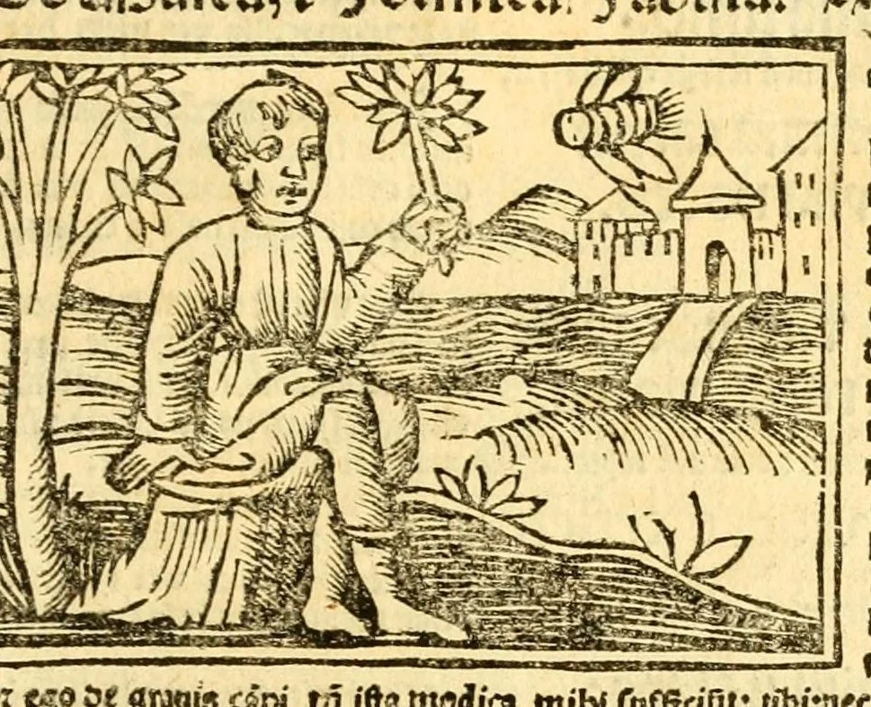 An illustration from Aesopi fabvlae cvm vvlgari interpretatione : et figuris nouissime omni cura, & diligentia emendatae, 1557, leaf 49
