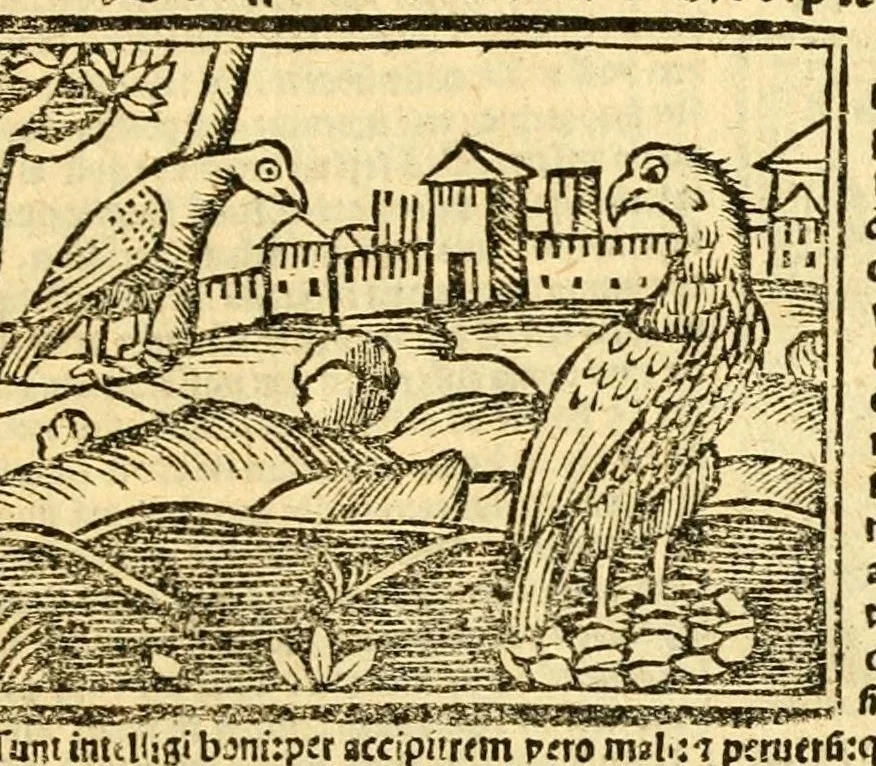 An illustration from Aesopi fabvlae cvm vvlgari interpretatione : et figuris nouissime omni cura, & diligentia emendatae, 1557, leaf 57