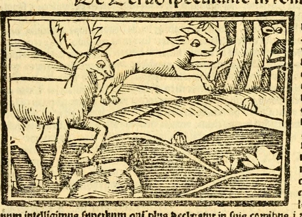 An illustration from Aesopi fabvlae cvm vvlgari interpretatione : et figuris nouissime omni cura, & diligentia emendatae, 1557, leaf 59